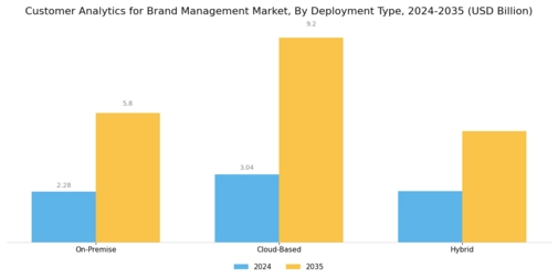 Customer Analytics for Brand Management Market Segment Image 1
