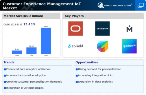 Customer Experience Management IoT Market Infographic