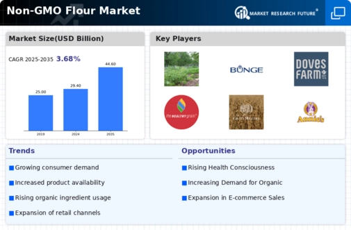 Non GMO Flour Market Infographic