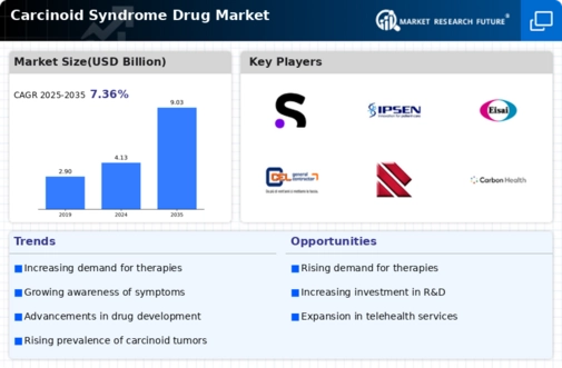 Carcinoid Syndrome Drug Market Infographic