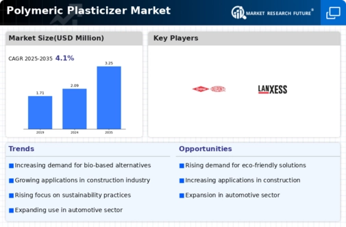 Polymeric Plasticizer Market Infographic