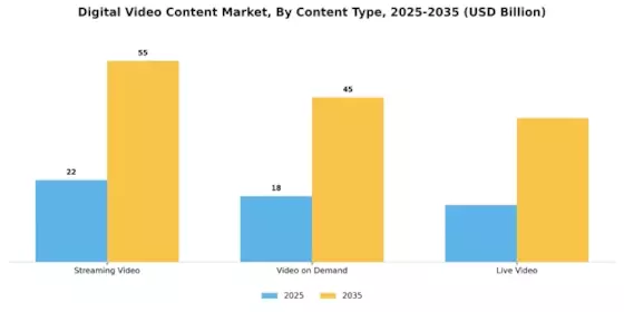 Digital Video Content Market Segment Image 0