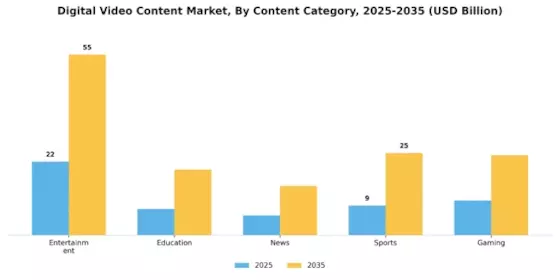 Digital Video Content Market Segment Image 3