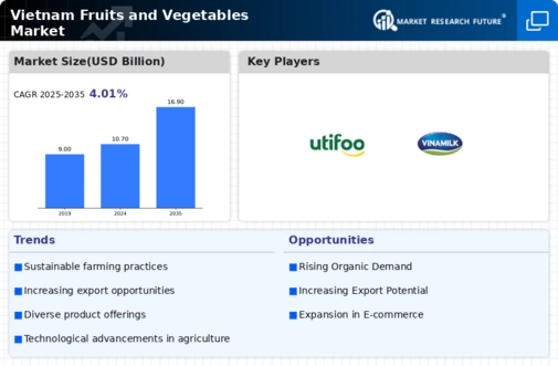 Vietnam Fruits Vegetables Market
 Infographic