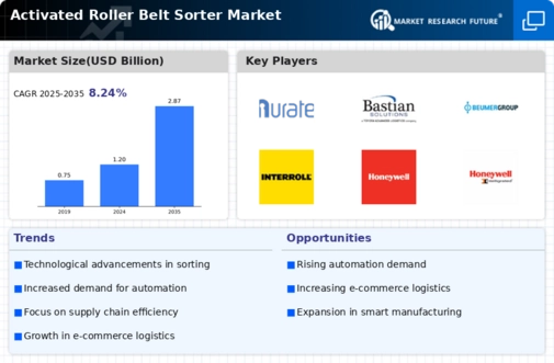 Activated Roller Belt Sorter Market Infographic