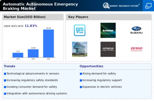 Automatic Autonomous Emergency Braking Market Infographic