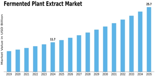 Fermented Plant Extract Market Size