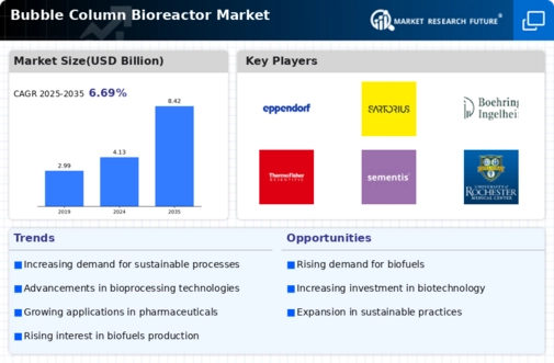 Bubble Column Bioreactor Market Infographic