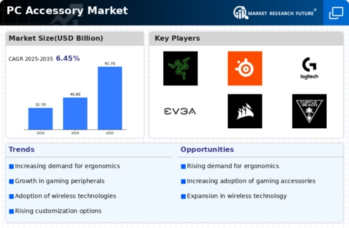 Pc Accessorie Market Infographic