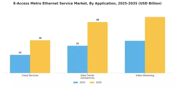 E Access Metro Ethernet Service Market Segment Image 1