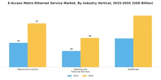 E Access Metro Ethernet Service Market Segment Image 2