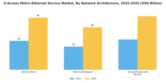 E Access Metro Ethernet Service Market Segment Image 3