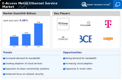 E Access Metro Ethernet Service Market Infographic