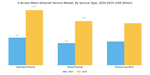 E Access Metro Ethernet Service Market Segment Image 0