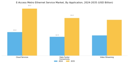 E Access Metro Ethernet Service Market Segment Image 1