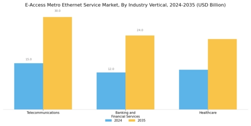E Access Metro Ethernet Service Market Segment Image 2