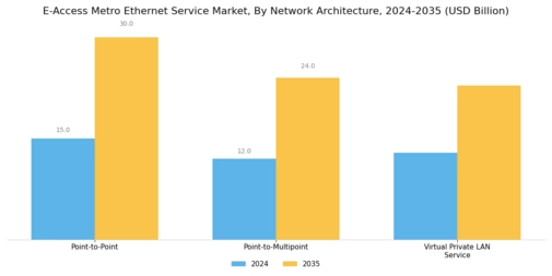 E Access Metro Ethernet Service Market Segment Image 3