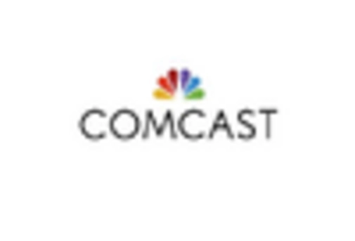 E Access Metro Ethernet Service Market key player