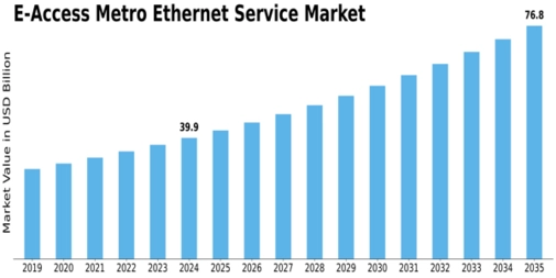 E Access Metro Ethernet Service Market Size