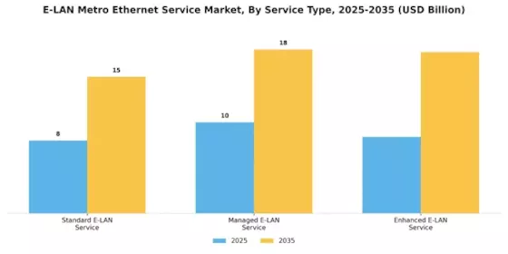 E LAN Metro Ethernet Service Market Segment Image 0