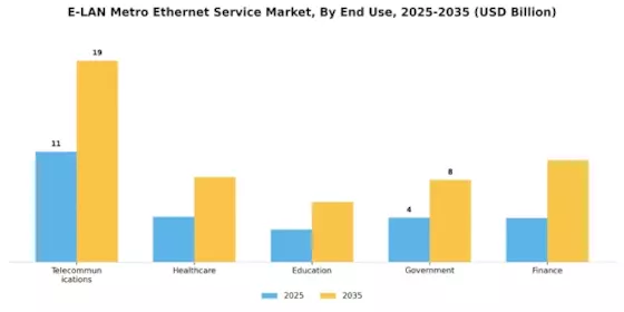E LAN Metro Ethernet Service Market Segment Image 1
