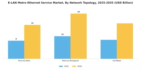 E LAN Metro Ethernet Service Market Segment Image 2