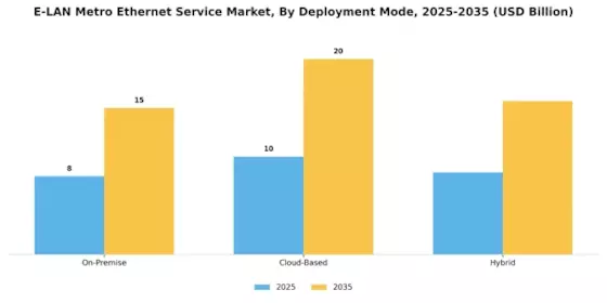E LAN Metro Ethernet Service Market Segment Image 3