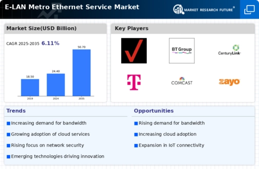 E LAN Metro Ethernet Service Market Infographic