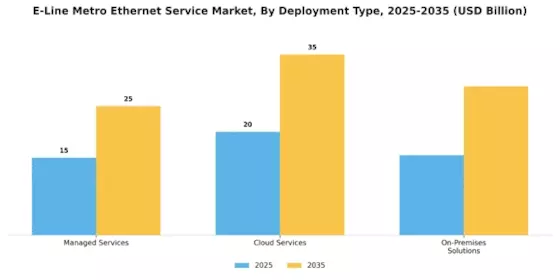 E Line Metro Ethernet Service Market Segment Image 3