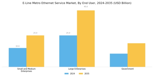 E Line Metro Ethernet Service Market Segment Image 1