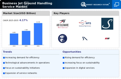 Business Jet Ground Handling Service Market Infographic