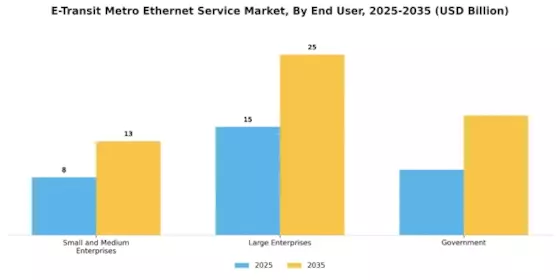 E Transit Metro Ethernet Service Market Segment Image 2