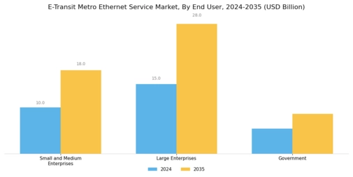 E Transit Metro Ethernet Service Market Segment Image 2