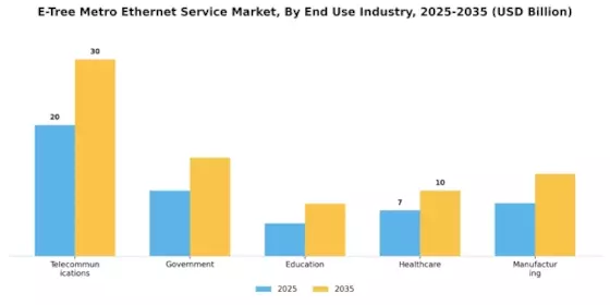 E Tree Metro Ethernet Service Market Segment Image 1