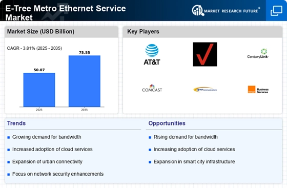 E Tree Metro Ethernet Service Market Infographic
