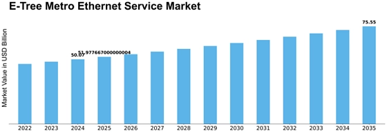 E Tree Metro Ethernet Service Market Size