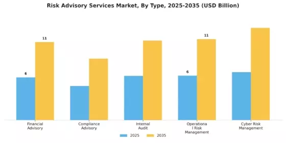 Risk Advisory Services Market Segment Image 0