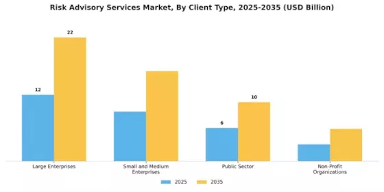 Risk Advisory Services Market Segment Image 3