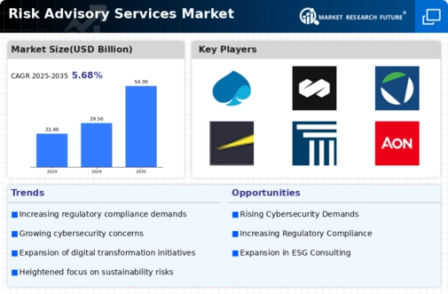 Risk Advisory Services Market Infographic