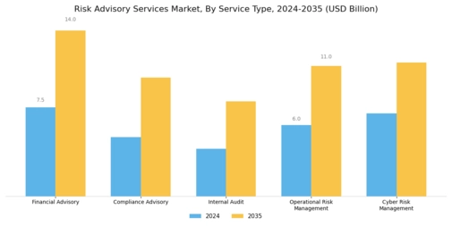 Risk Advisory Services Market Segment Image 0