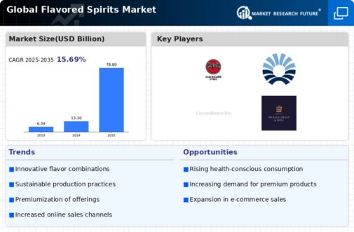 Flavored Spirits Market Infographic