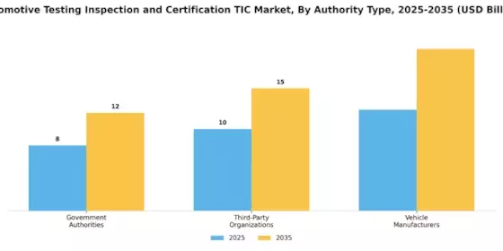 Automotive Testing Inspection And Certification (TIC) Market Segment Image 3