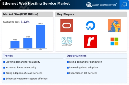 Ethernet Web Hosting Service Market Infographic