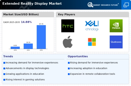 Extended Reality Display Market Infographic