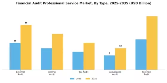 Financial Audit Professional Service Market Segment Image 0