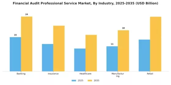 Financial Audit Professional Service Market Segment Image 1
