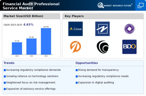 Financial Audit Professional Service Market Infographic