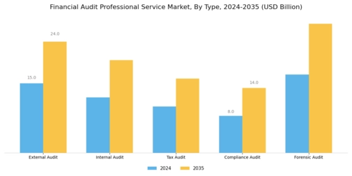 Financial Audit Professional Service Market Segment Image 0