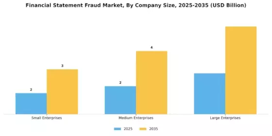Financial Statement Fraud Market Segment Image 3
