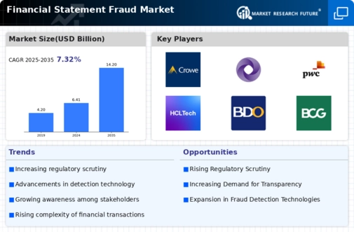 Financial Statement Fraud Market Infographic